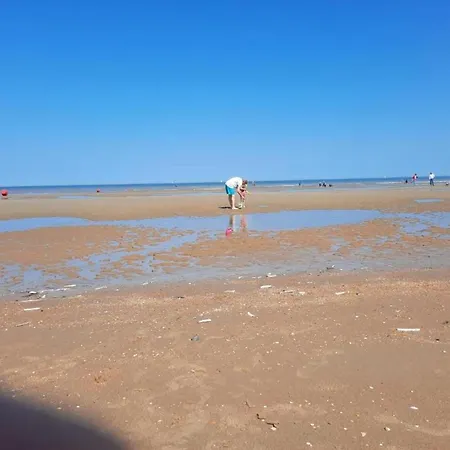 Near Dunes And Sea Koksijde