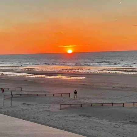 Near Dunes And Sea * Koksijde